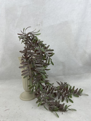 [SB3307-PGN] 30" DUSTY OSMUNDA FERN SPRAY PURPLE/GREEN