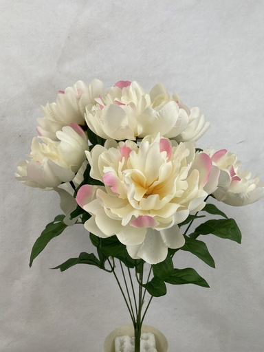 [SB3313-CPK] 19" PEONY BUSH X8 CREAM/PINK