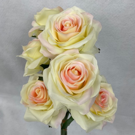 [SE1096-CHA] ROSE BUD BUNDLE X6 CHAMPAGNE