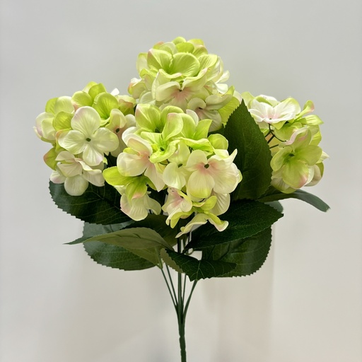 [ST5903-CGN] 18"HYDRANGEA BUSH X7 CREAM/GREEN
