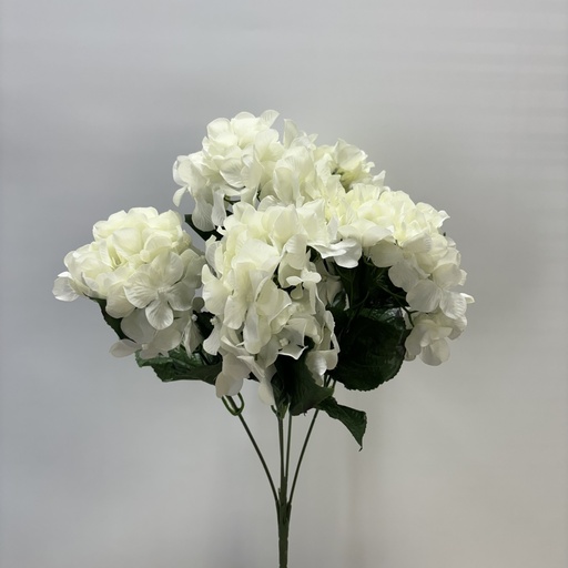 [ST5923-CWH] 21" HYDRANGEA BUSH X5 CREAM/WHITE
