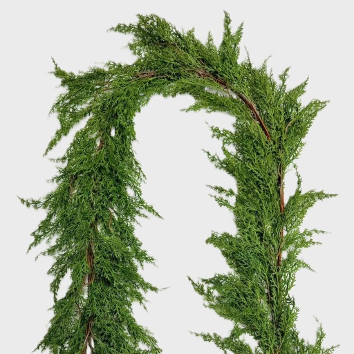 [XE5501] 6' CEDAR GARLAND